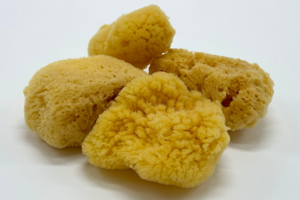 Cosmetic Sea Sponge 6x8 cm