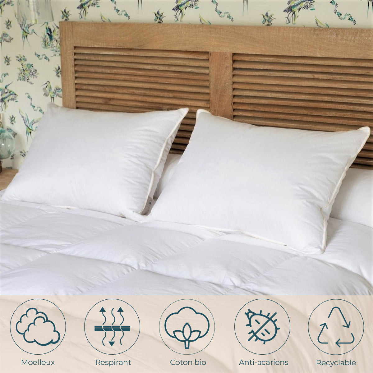 Organic and Ecological Pillow 90% Down