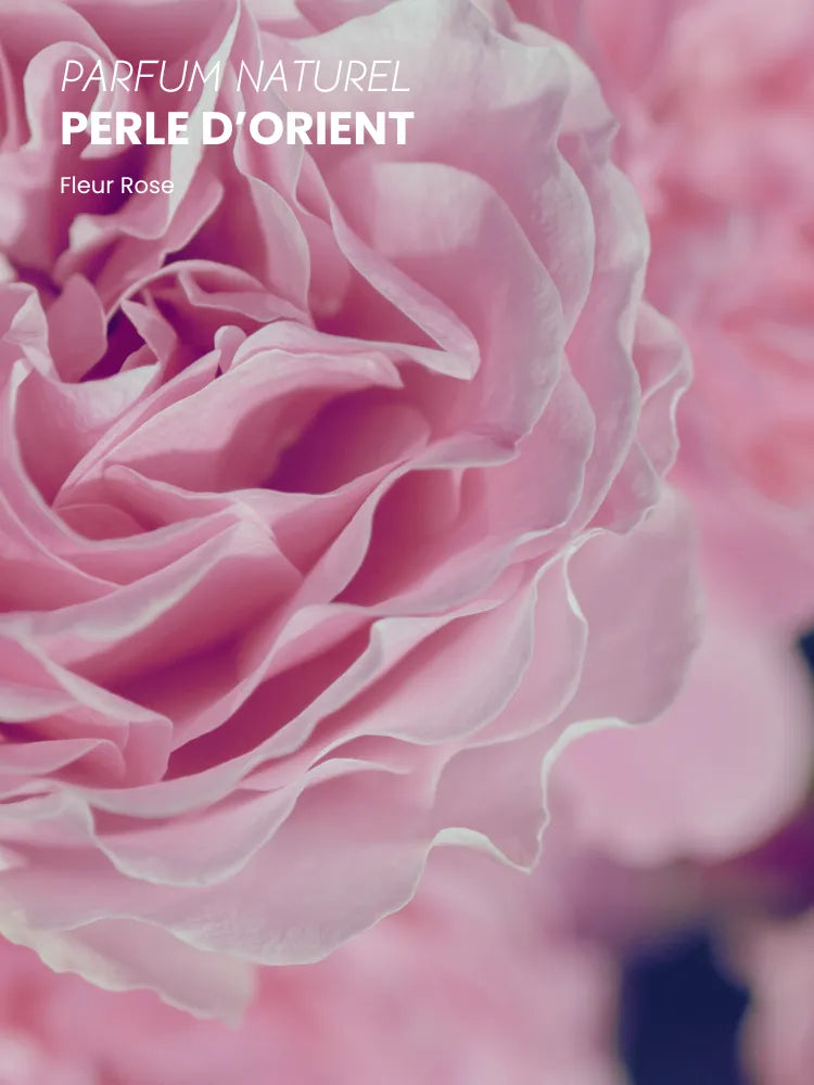 Orient Pearl Beauty Oil