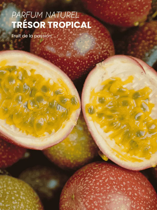 Tropical Treasure Beauty Oil