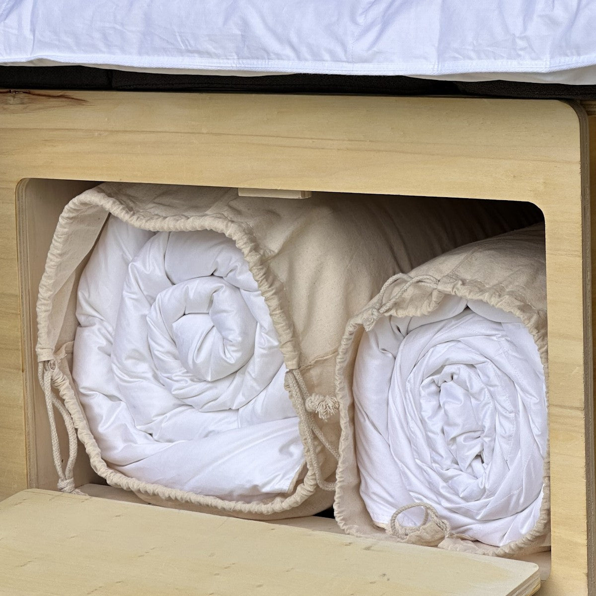 Castex tkaninski morski nahrbtnik