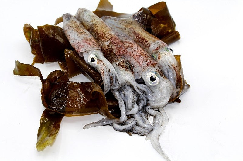 Galician squid
