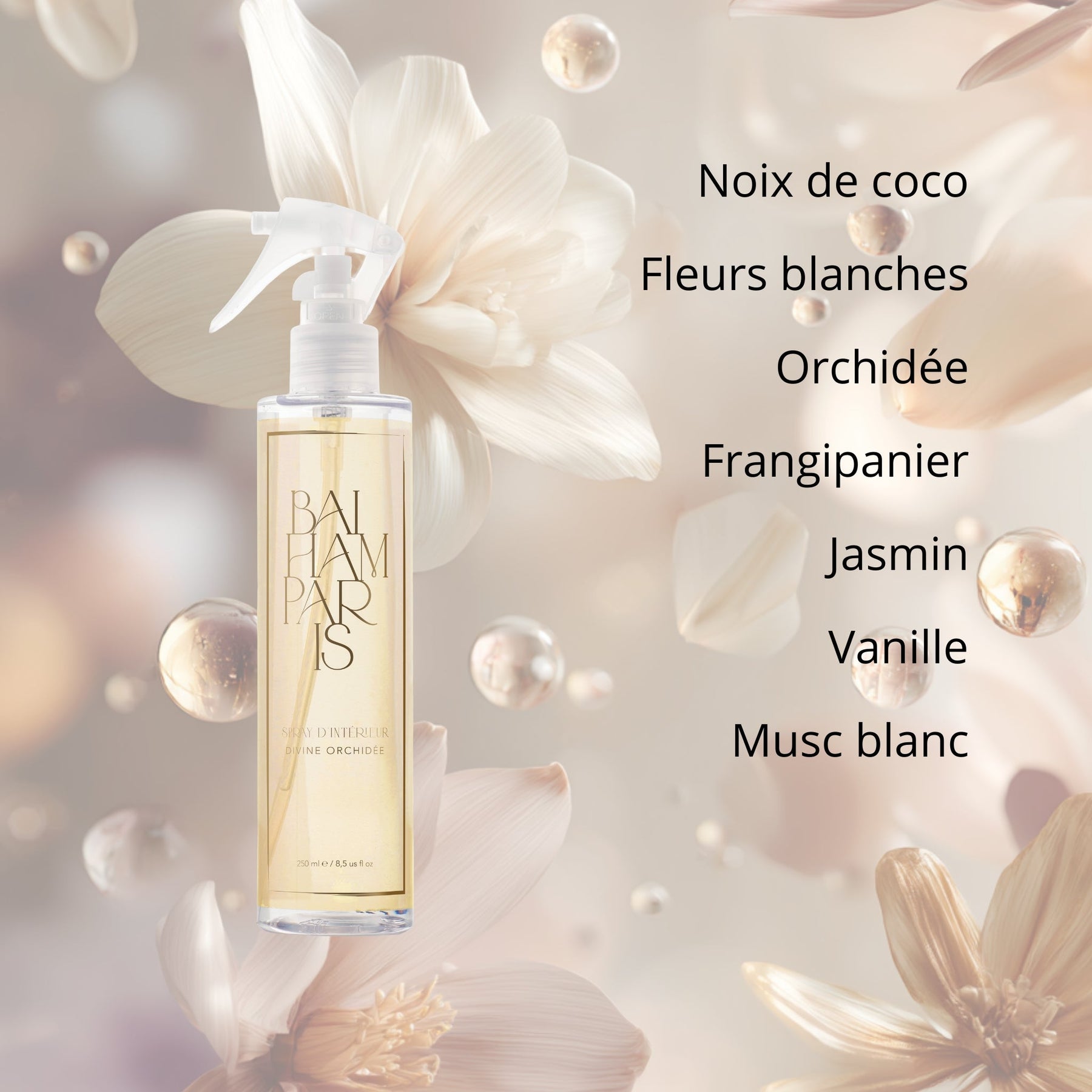 Divine Orchid
