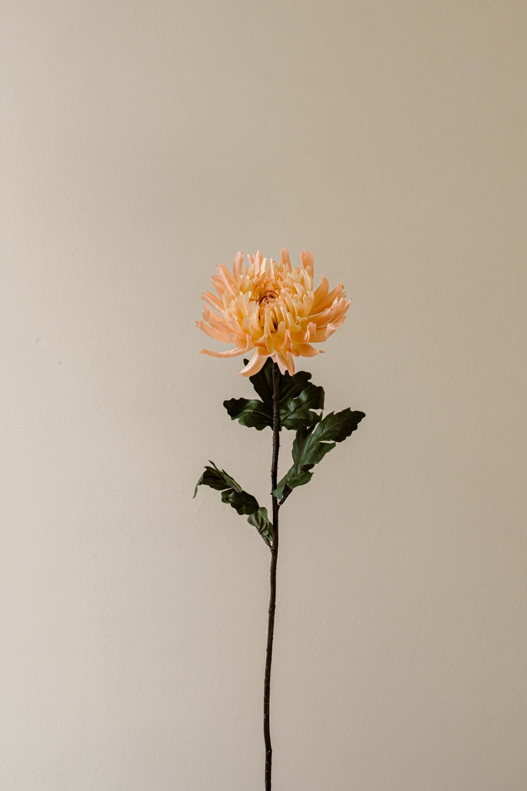 Indore Silva - Chrysanthemum - Light Pink - Artificial Branch - Silk