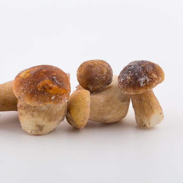Boletus congelado inteiro 1Kg
