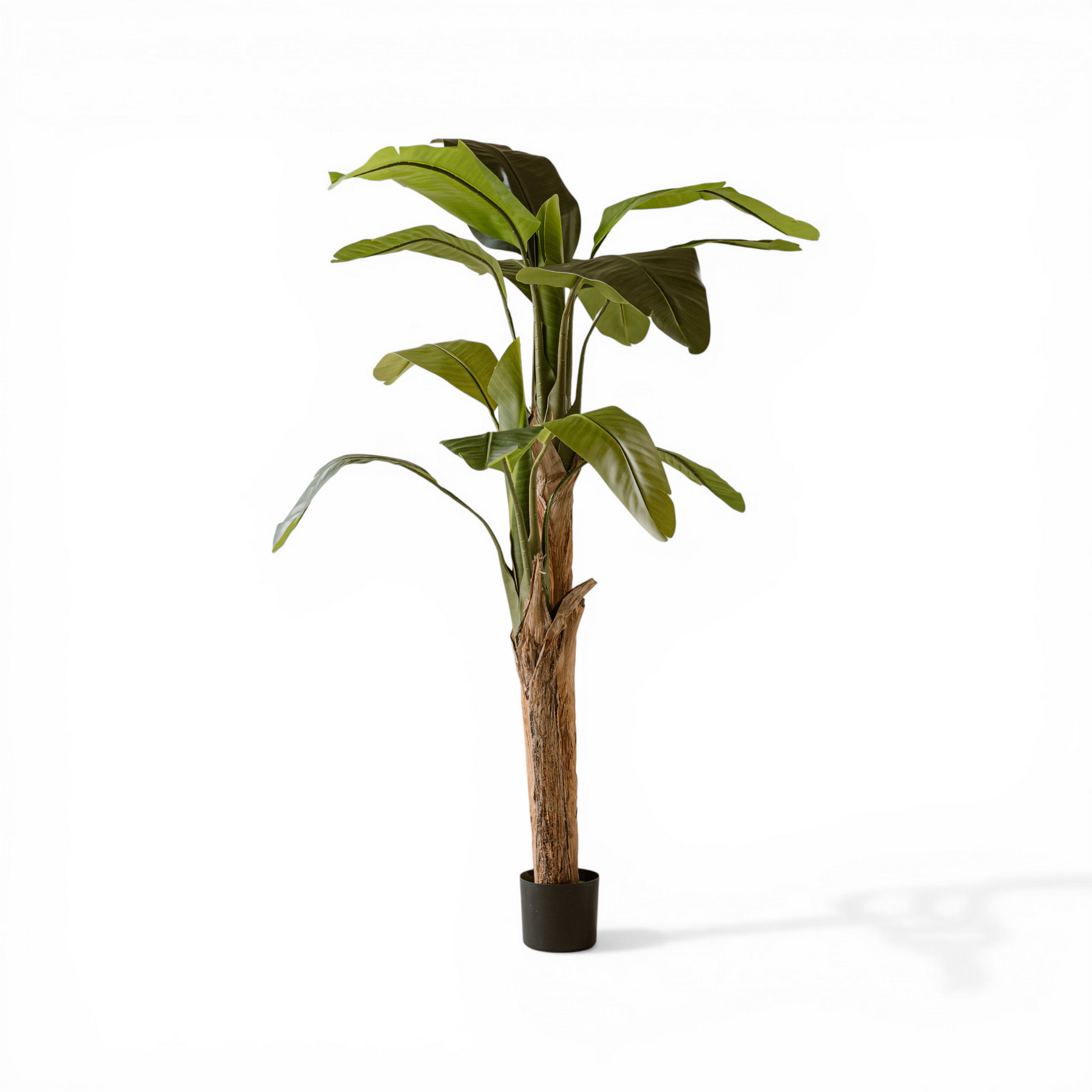 Indore Silva - Artificial Banana Plant - 160cm