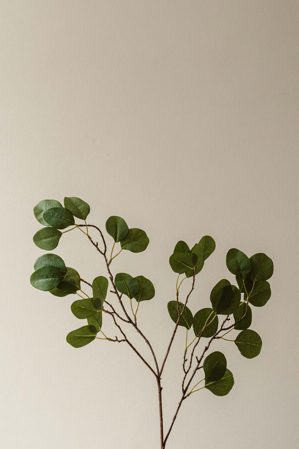 Indore Silva - Eucalyptus - artificial branch - silk