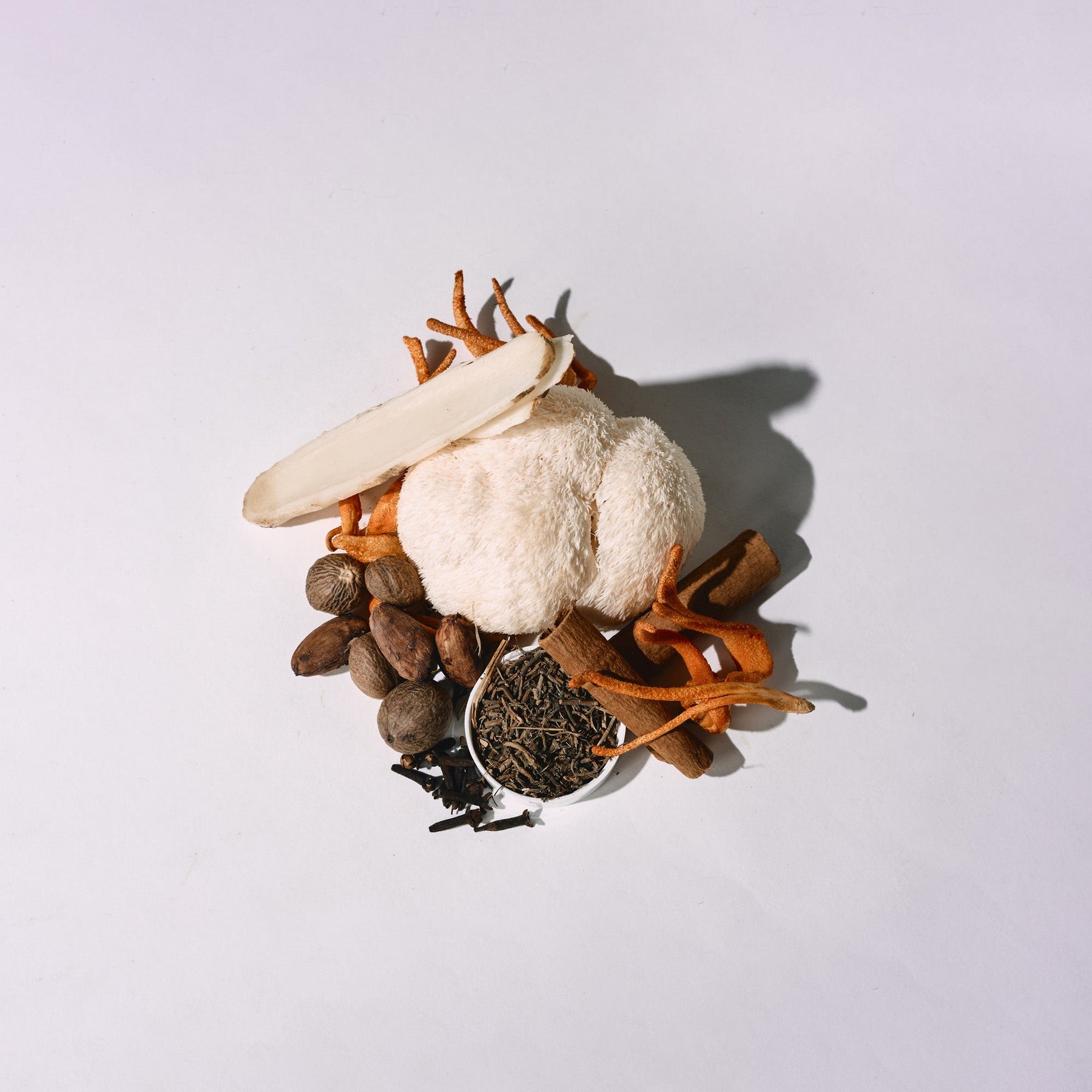 Decorative arrangement of lion's mane mushrooms, cordyceps mushrooms, fresh ginger and dry spices on a white background