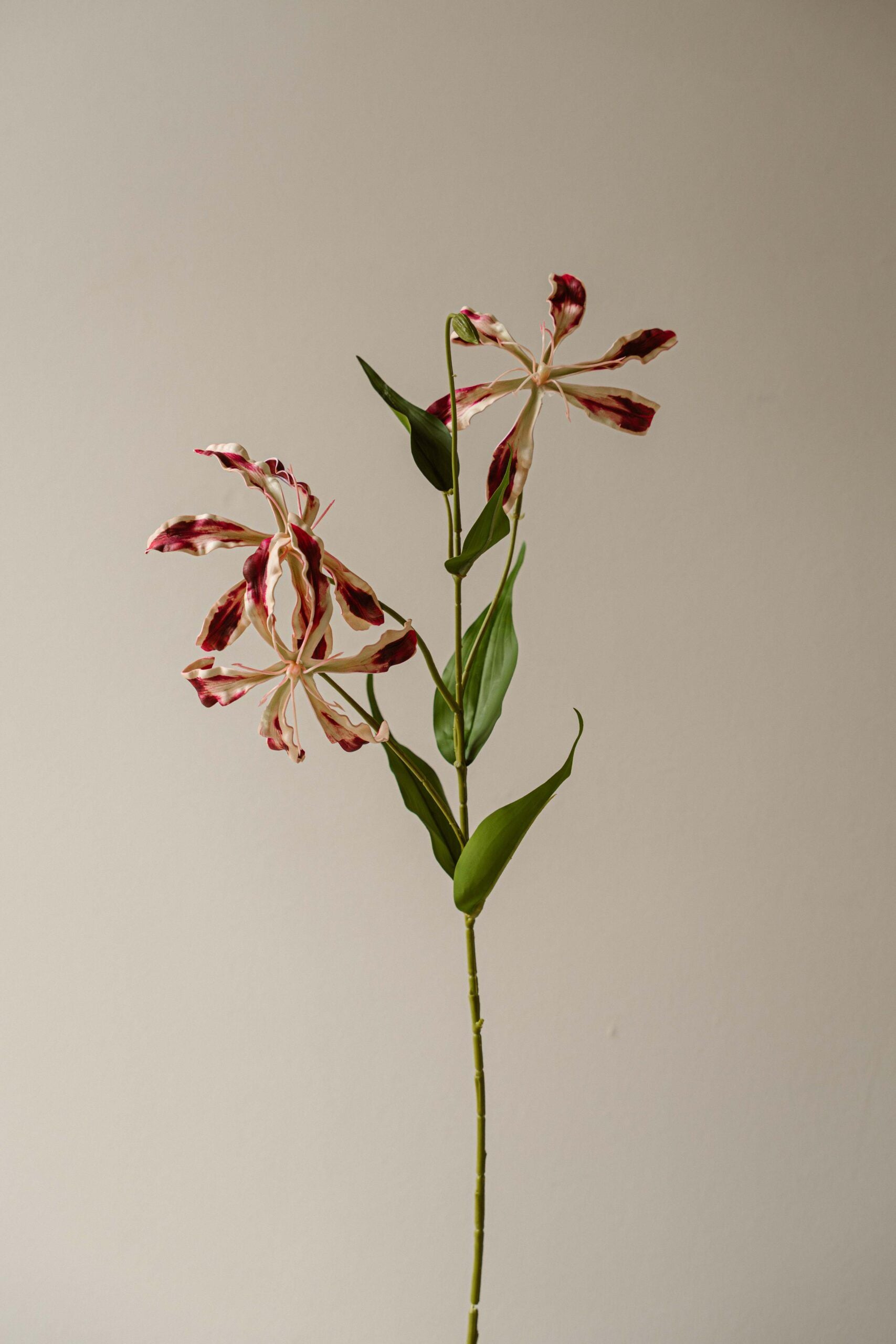 Indore Silva - Prachtlely - Pink - artificial branch - silk