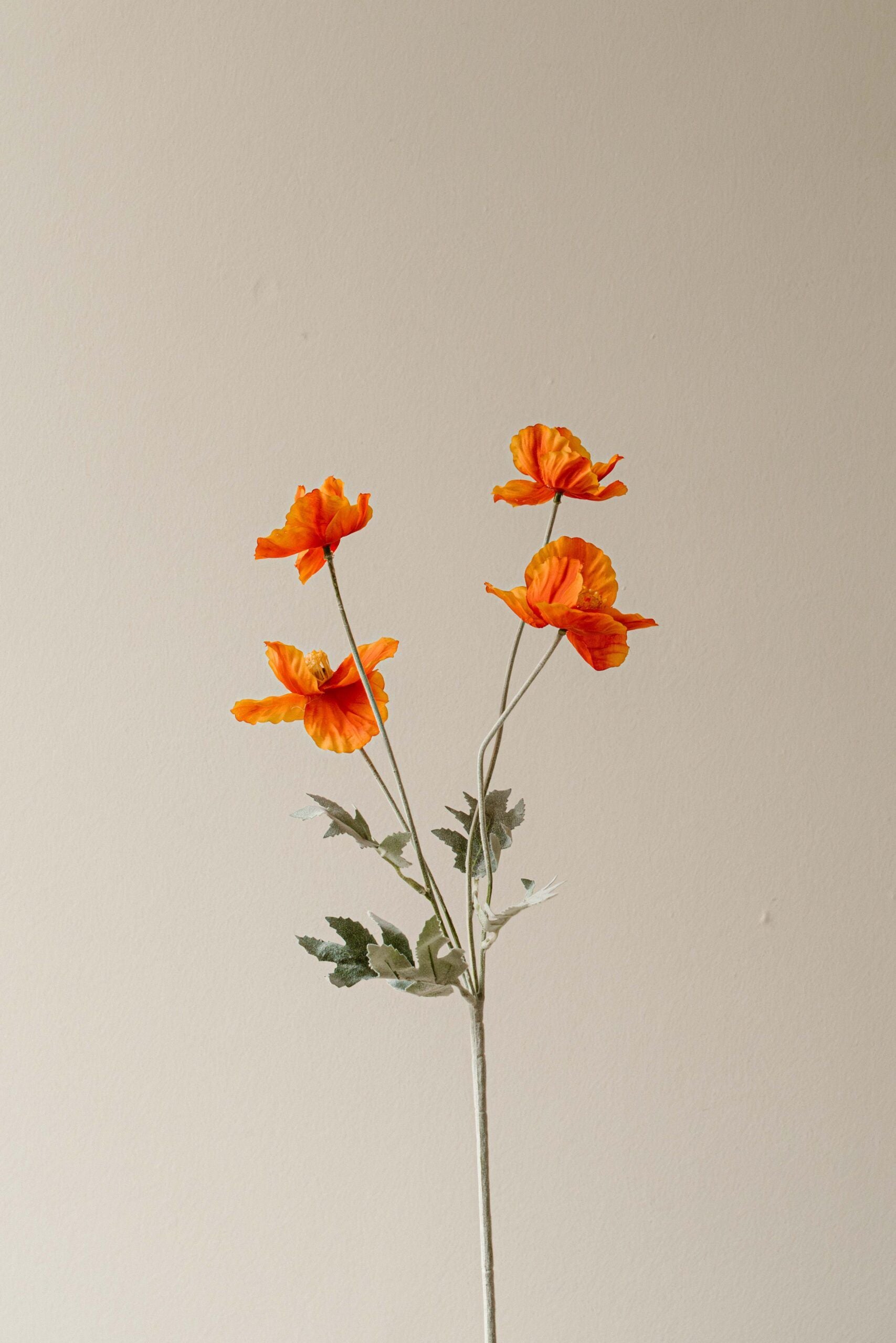 Indore Silva - Poppy - Orange - 4 Flowers - Artificial Branch - Silk