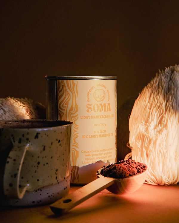 Lion's Mane cacao