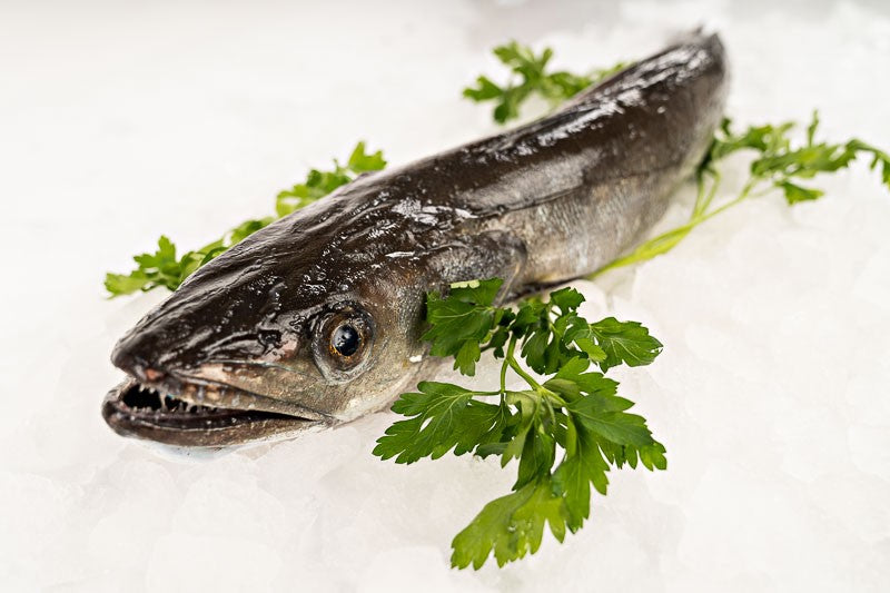 Galician Hake from the Rías Baixas