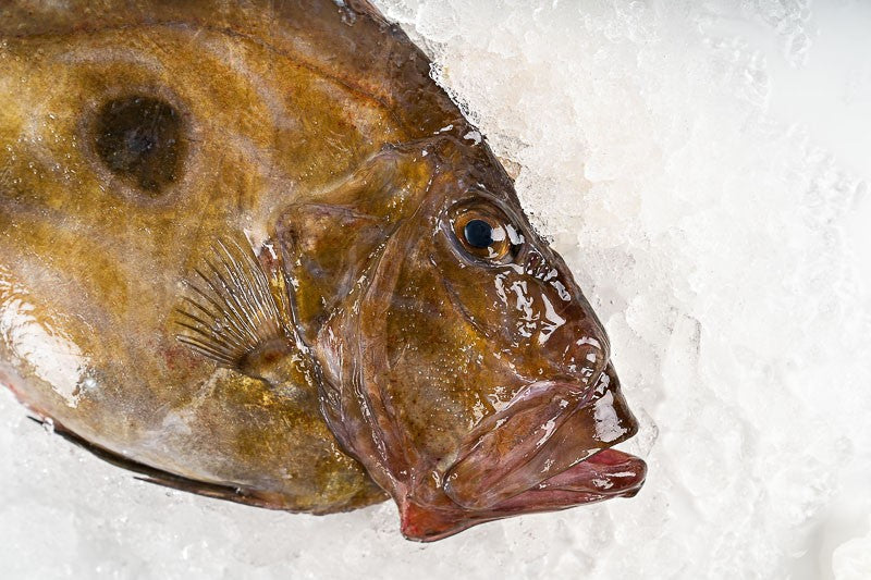Galician San Pedro Fish (San Martiño)