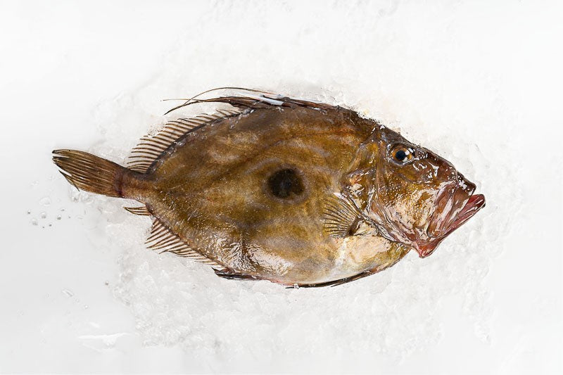 Galician San Pedro Fish (San Martiño)