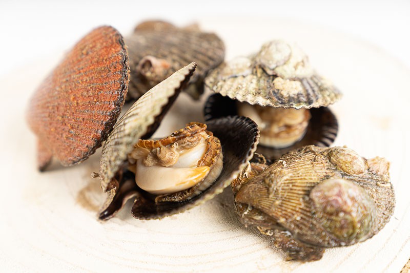 Black Galician Scallop