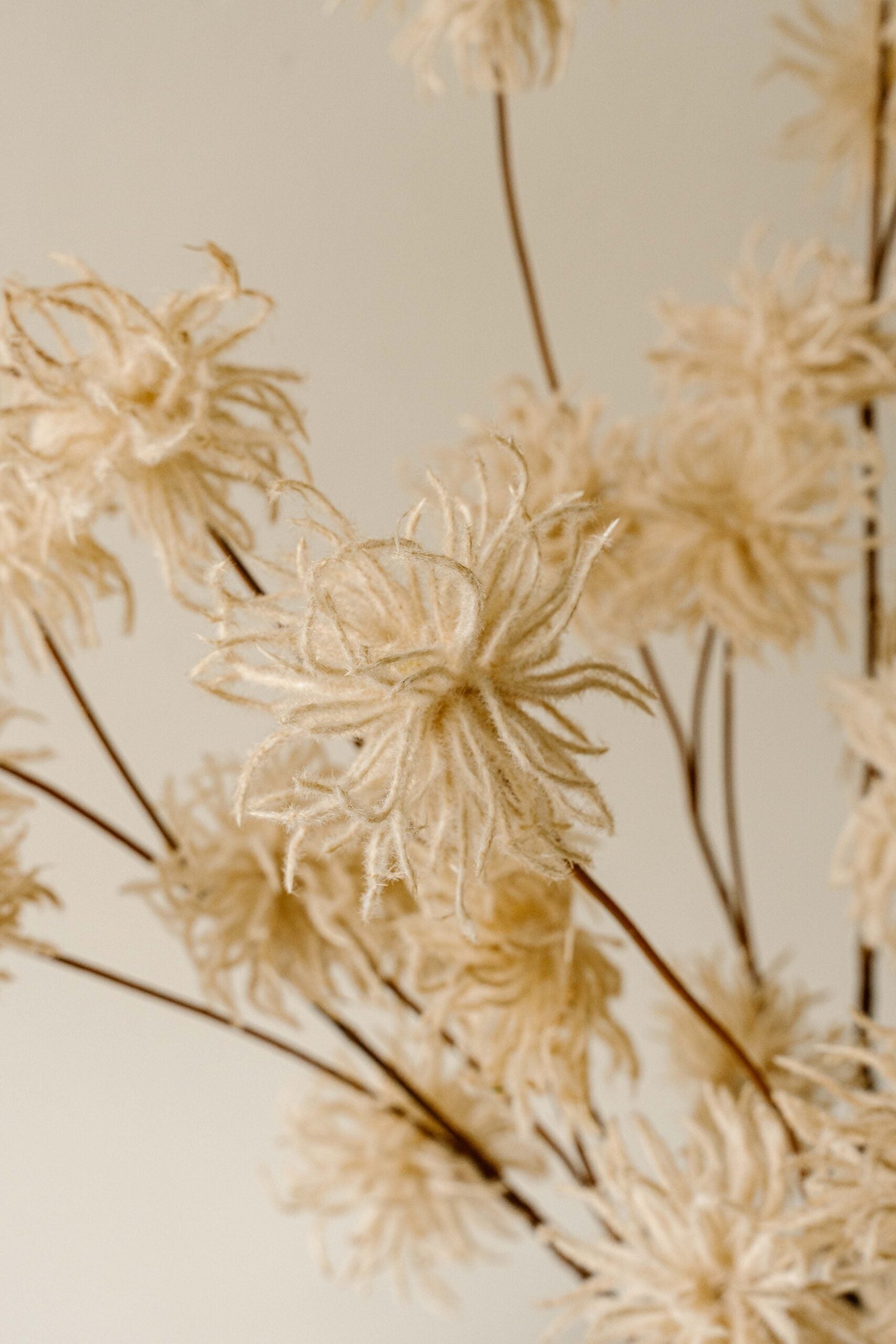 Indore Silva - Allium Bulbs- wit - kunsttak - zijde