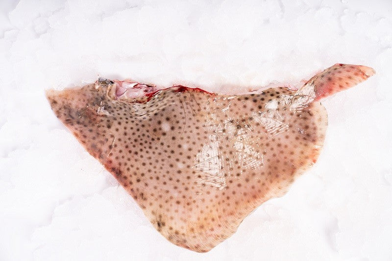 Galician skate