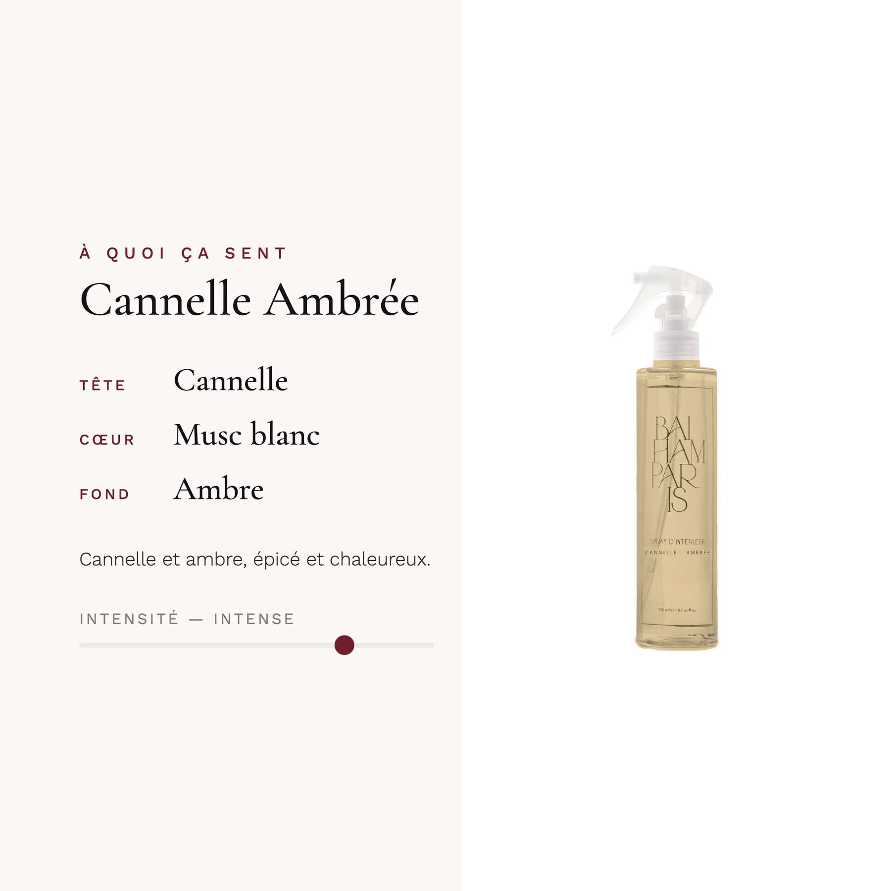Cannella Ambra
