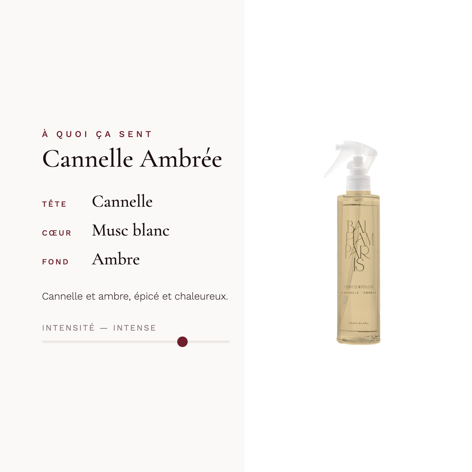 Cannella Ambra