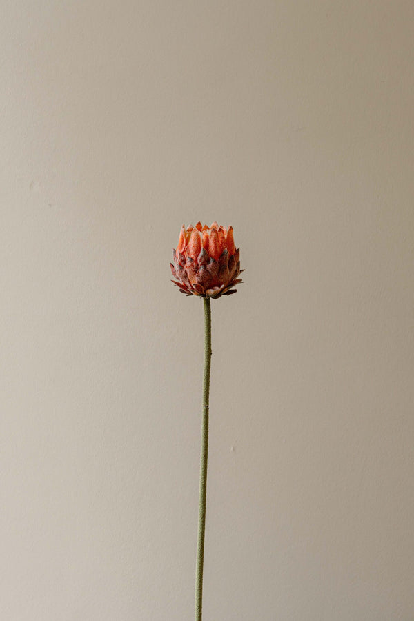 Indore Silva - Protea - Pink - artificial branch - silk