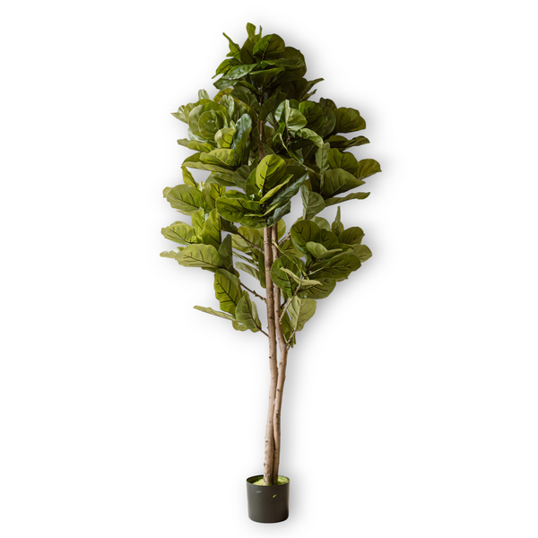 Kunstplant Vijg 150 cm (Ficus) - Realistische Grote Kunstplant - Indore Home