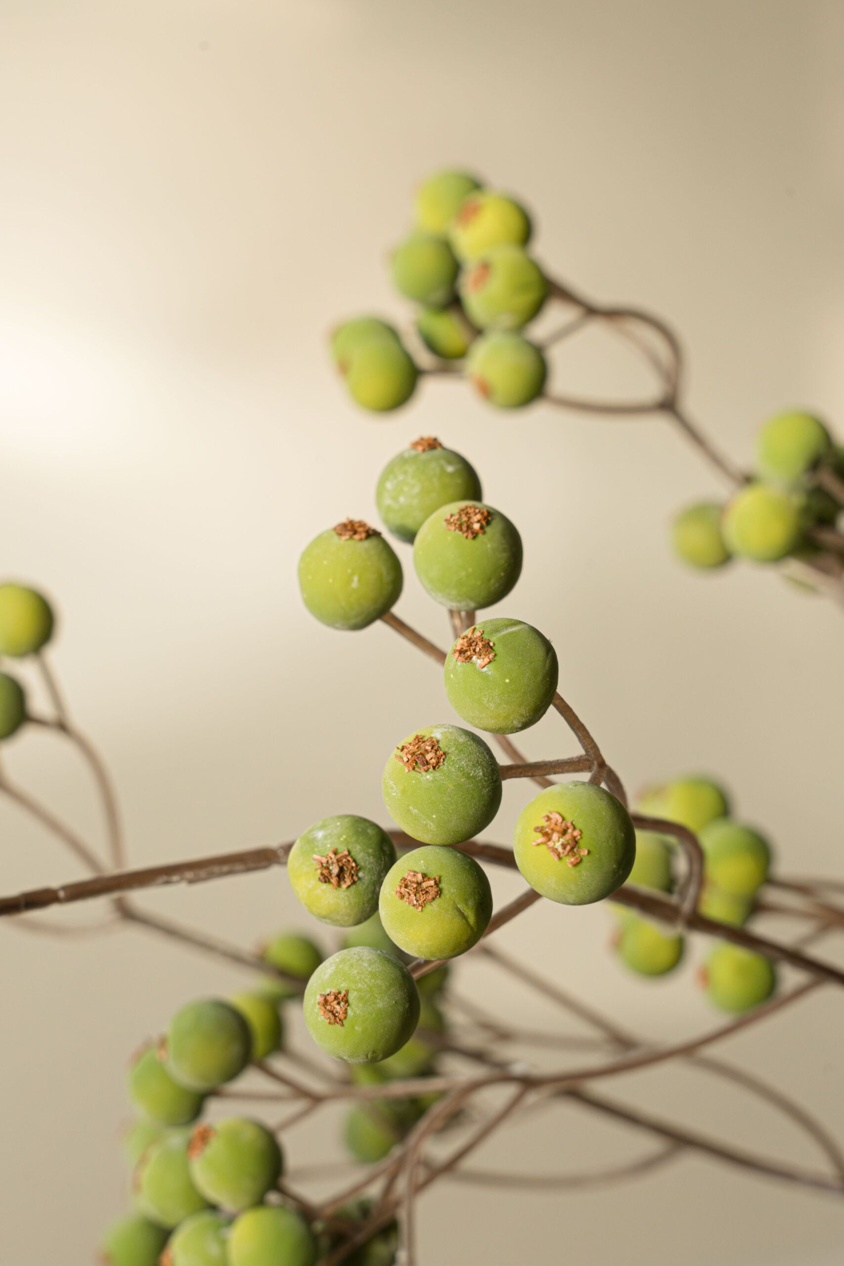 Indore Silva - Berry - groen - kunsttak - zijde