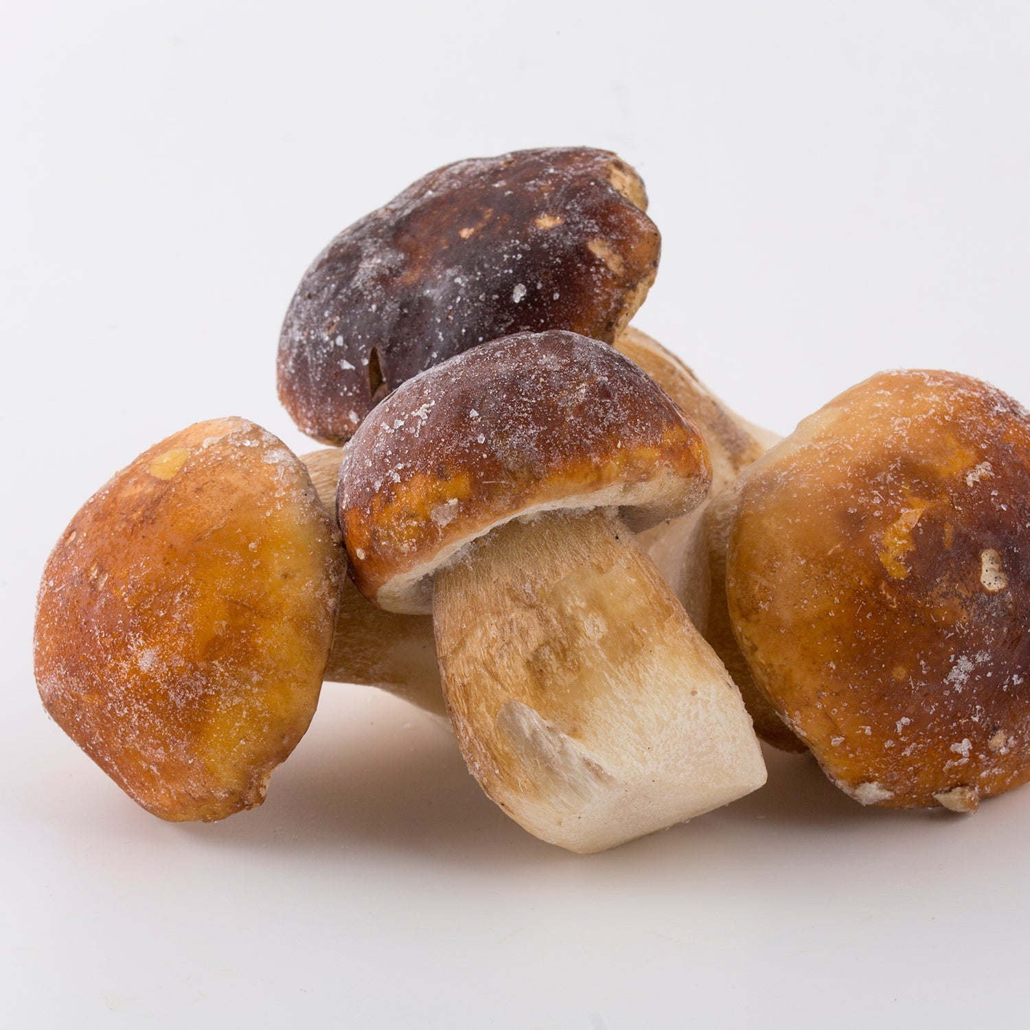 Boletus congelado inteiro 1Kg