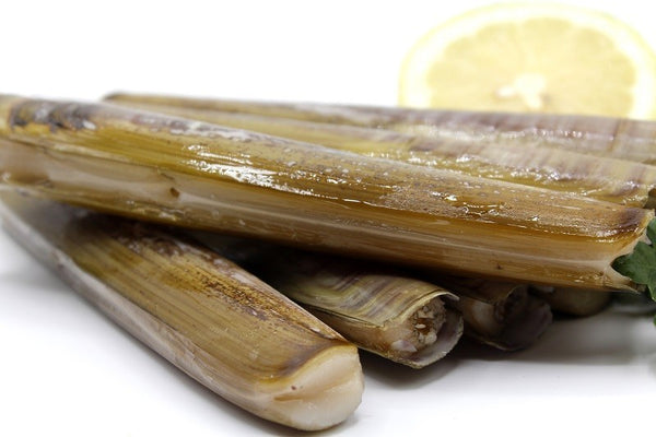 Longueiron gallego de la Lanzada