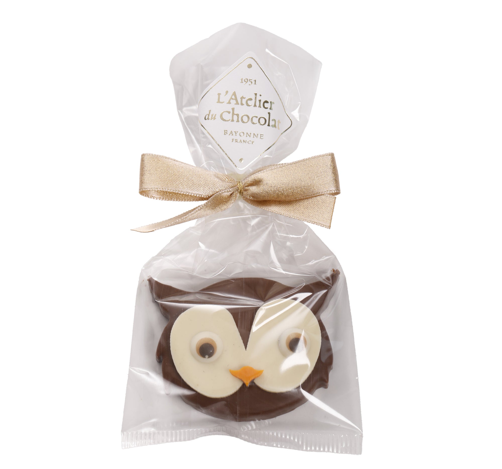 Gufo di Praline Frizzante al Cioccolato al Latte di Natale