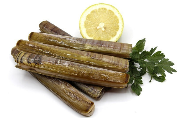 Longueiron gallego de la Lanzada