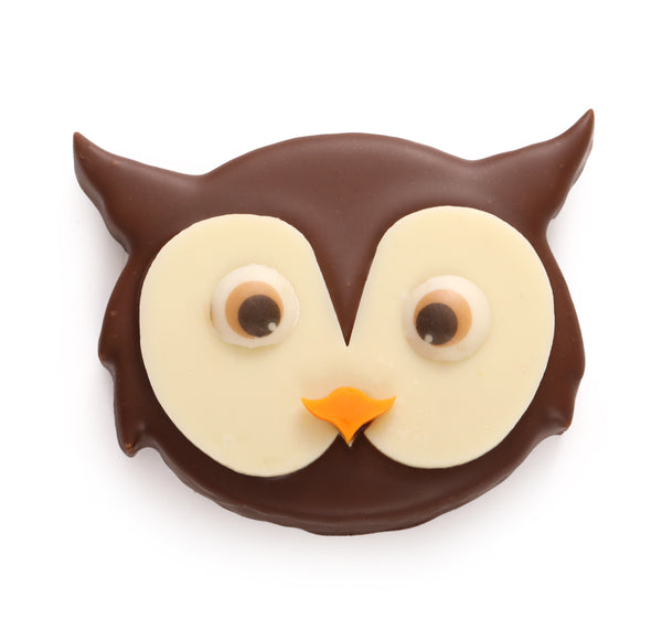 Sprankelende Praline Uil Melkchocolade Kerst