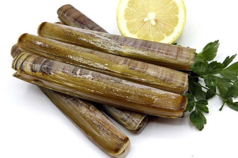 Longueiron gallego de la Lanzada