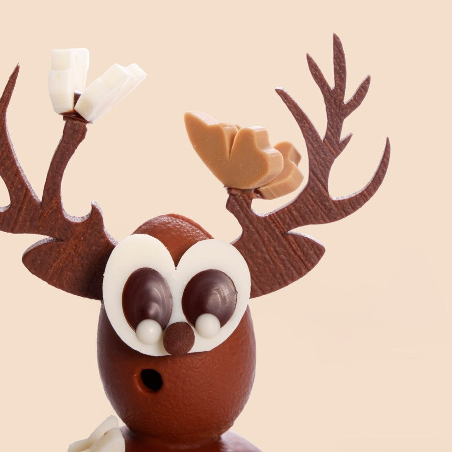 Oihan, the deer