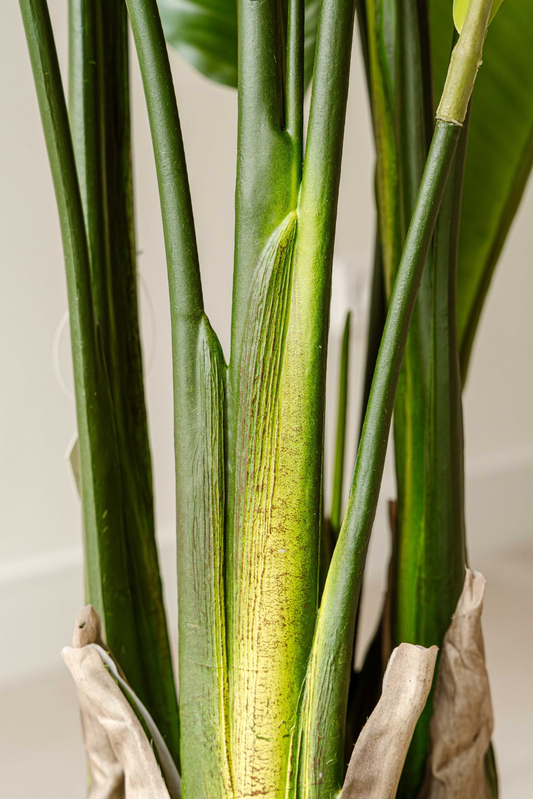 Artificial Plant Strelitzia 220 cm - Large Tropical Statement Indoor Plant - Indore Home
