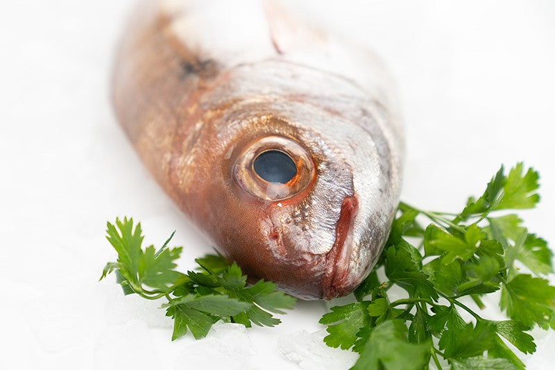 Galician Bream (Ollomol)
