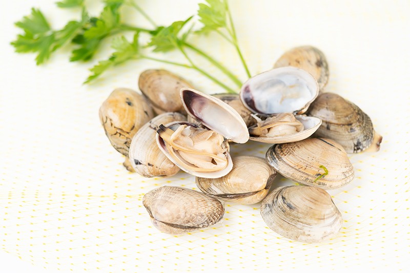 Almeja Babosa Gallega