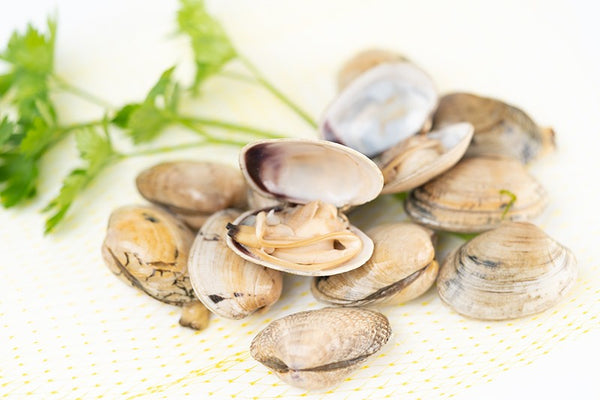 Almeja Babosa Gallega