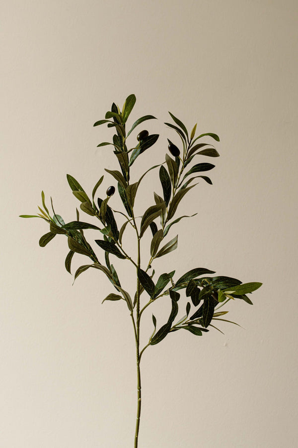 Indore Silva - Olive branch - artificial branch - silk