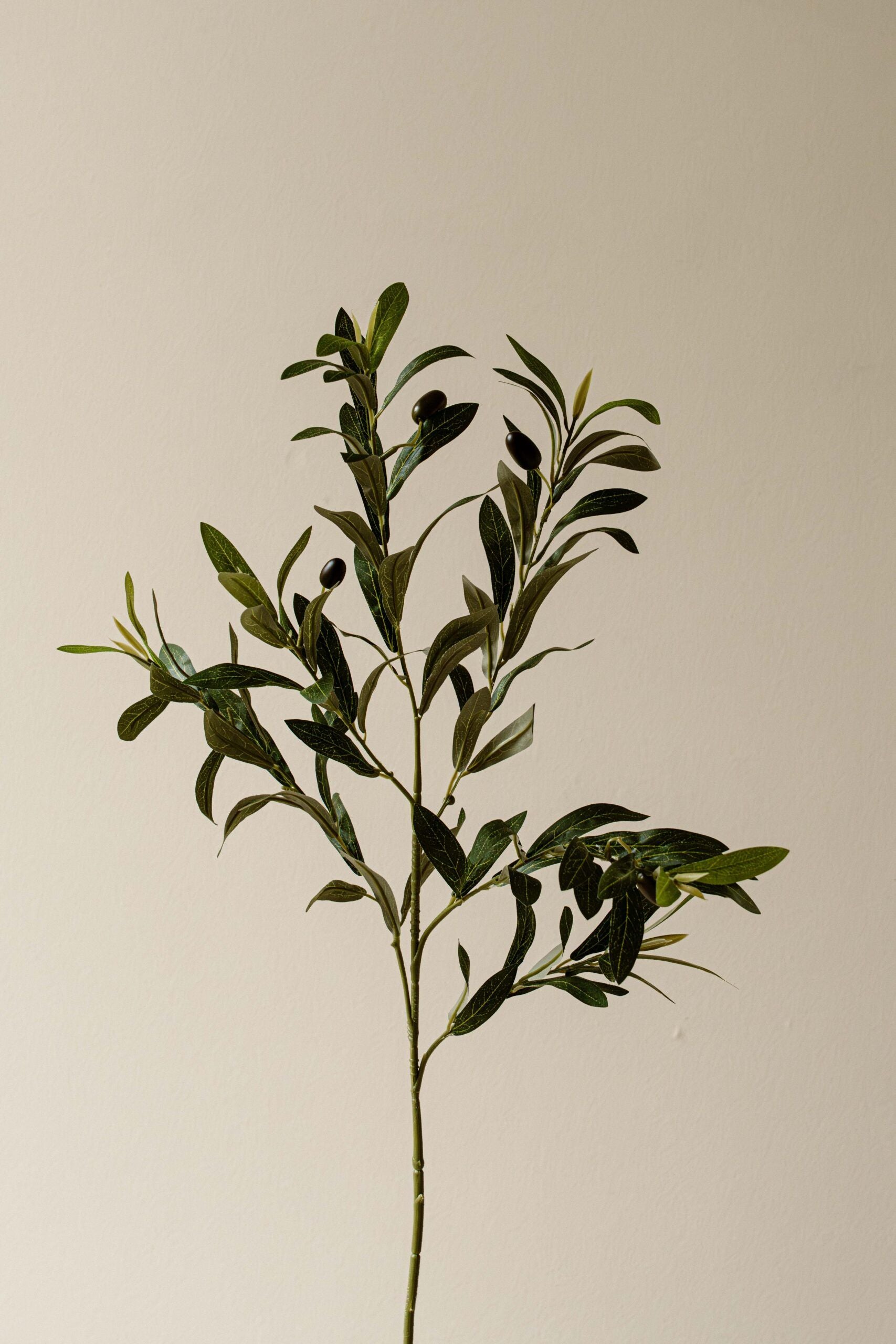 Indore Silva - Olive branch - artificial branch - silk