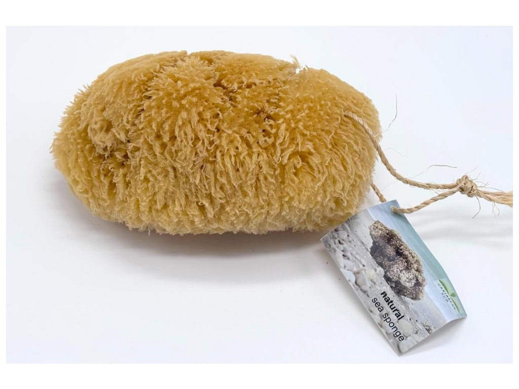 Sea Sponge for Body 14 - 15 cm