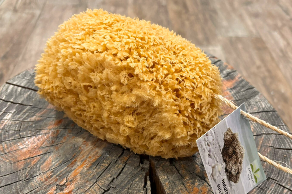 Sea Sponge for Body 14 - 15 cm