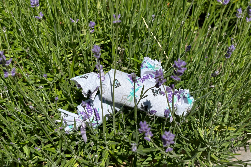 Large Lavender Set