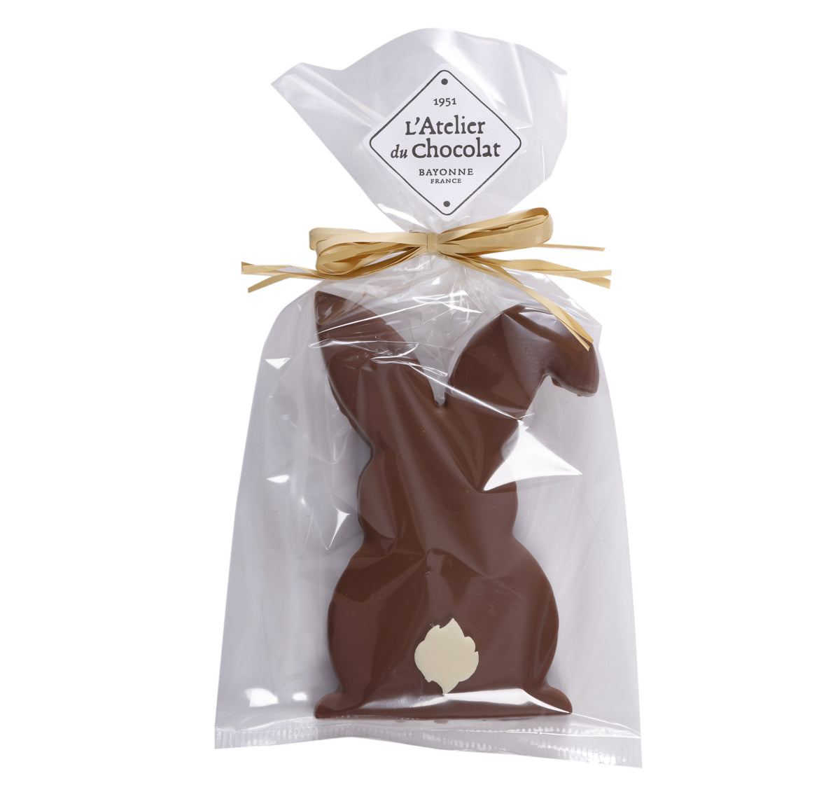 Paas Melkchocolade Praline Konijn