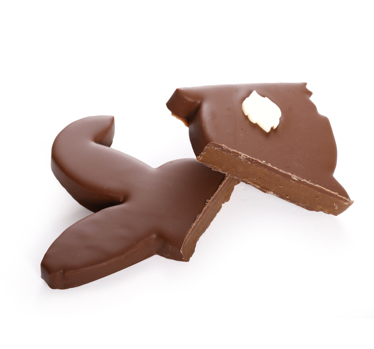 Paas Melkchocolade Praline Konijn