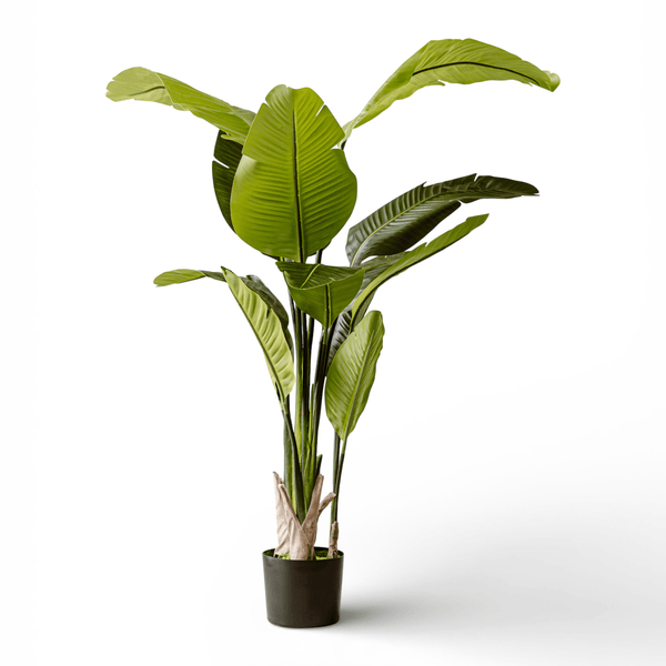 Indore Silva - Kunstplant Strelitzia - 160cm - Levertijd 3-5 dagen