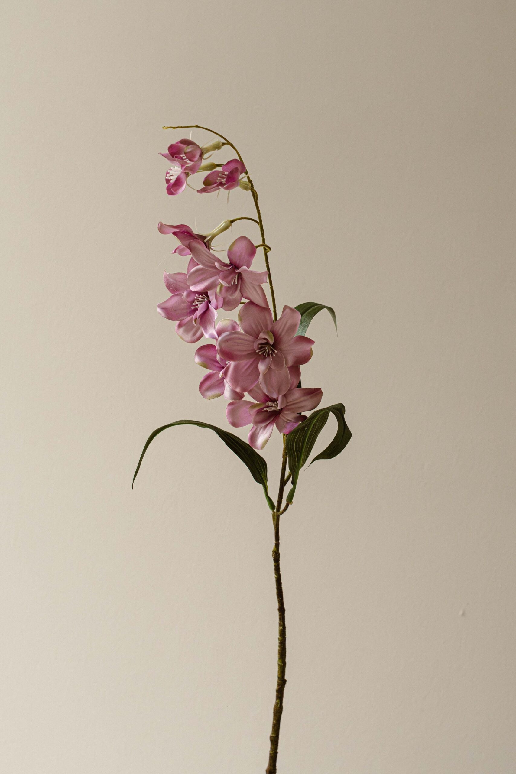 Indore Silva - orchid - Pink - artificial branch - silk