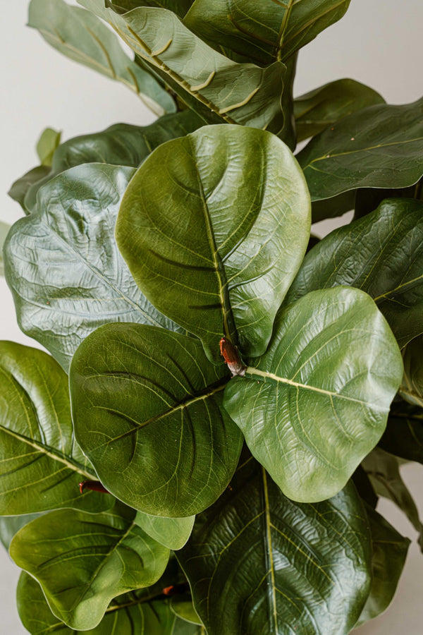 Kunstplant Vijg 90 cm (Ficus) - Compacte Realistische Kunstplant - Indore Home