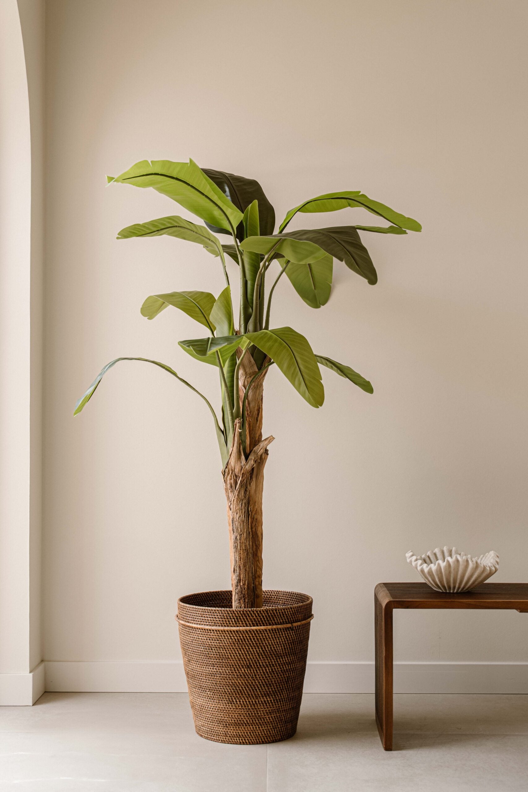 Indore Silva - Artificial Banana Plant - 160cm