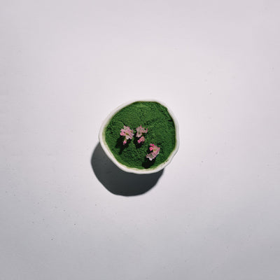 Small round container with green matcha and pink flowers on a white background