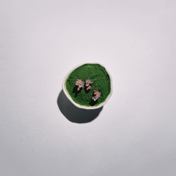 Small round container with green matcha and pink flowers on a white background